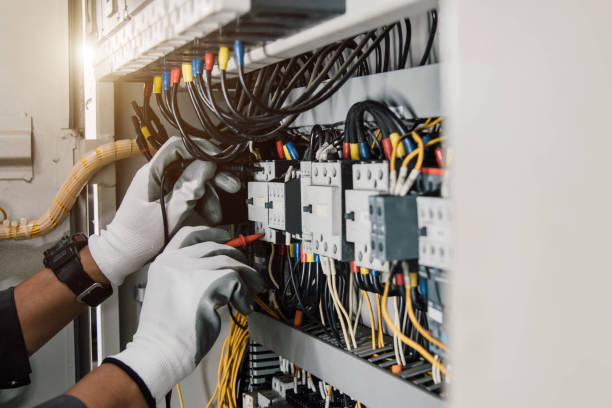 Best Ceiling Fan Installation Electrician  in Dryden, MI